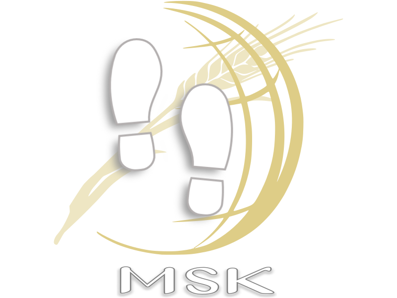 03 Missionsdienst_Schrift_und_Kraft